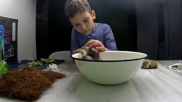 Мультиблогер Федя моет улиток