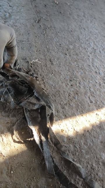 Foton Auman заглох на ходу. грузовой автоэлектрик Санкт-Петербург 89650148556 #дальнобой #fotontruck