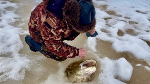 Я его поймал! Охота на озерного монстра