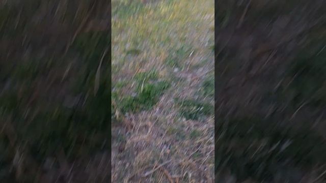 я с друзьями на площапдке