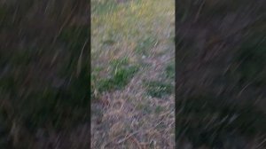 я с друзьями на площапдке