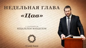Размышления о главе "Цав"