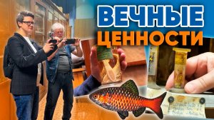 Аквариумные истории из ЭКЗОМЕНЮ (27.03.2026). Вечные ценности.