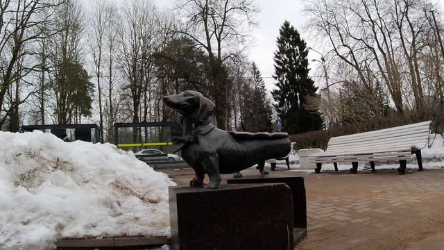 Зеленогорск зимой