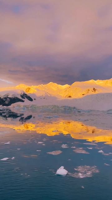 Ледяная красота Антарктики🧊