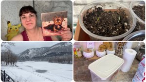 Грустная история. Первые всходы. Кругом грязь.