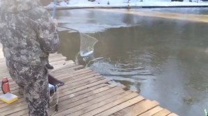 поимка форели