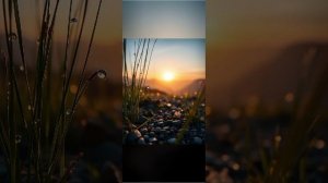 1000089412.mp4🎶🎶Ну и ладно 🎶🎶