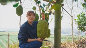 Зовите меня Ася - Джекфрут – это настоящее сокровище