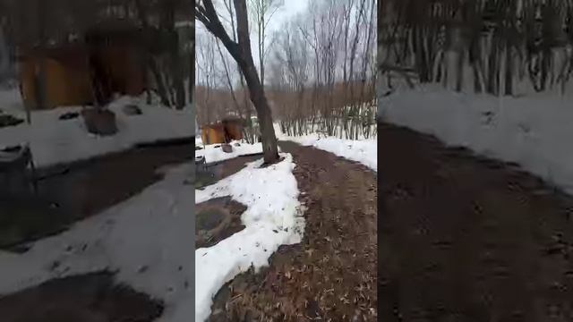 Видеопроверка