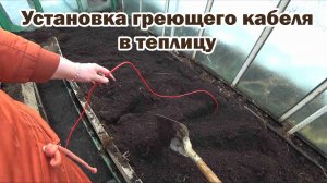 Эксперимент по установке греющего кабеля в теплицу