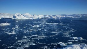 plate_G002_C002_BG_t9_6M_HB_tag0