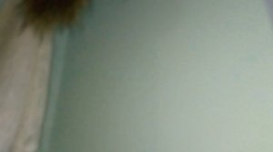 холодильный агрегат