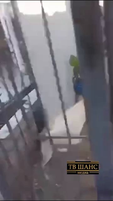 Хорошо, что прозрачная дверь закрыта))) #собачки#собачьяжизнь #собака#четвероногие#злаясобака#моська