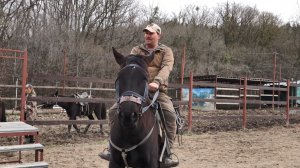 Иппотерапия: мощный метод реабилитации ветеранов СВО