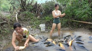 Ловлю крупную рыбу в грязевом пруду. Проверенные советы по ловле. Жизнь во Вьетнаме