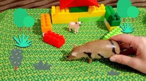 Ягненок и поросенок