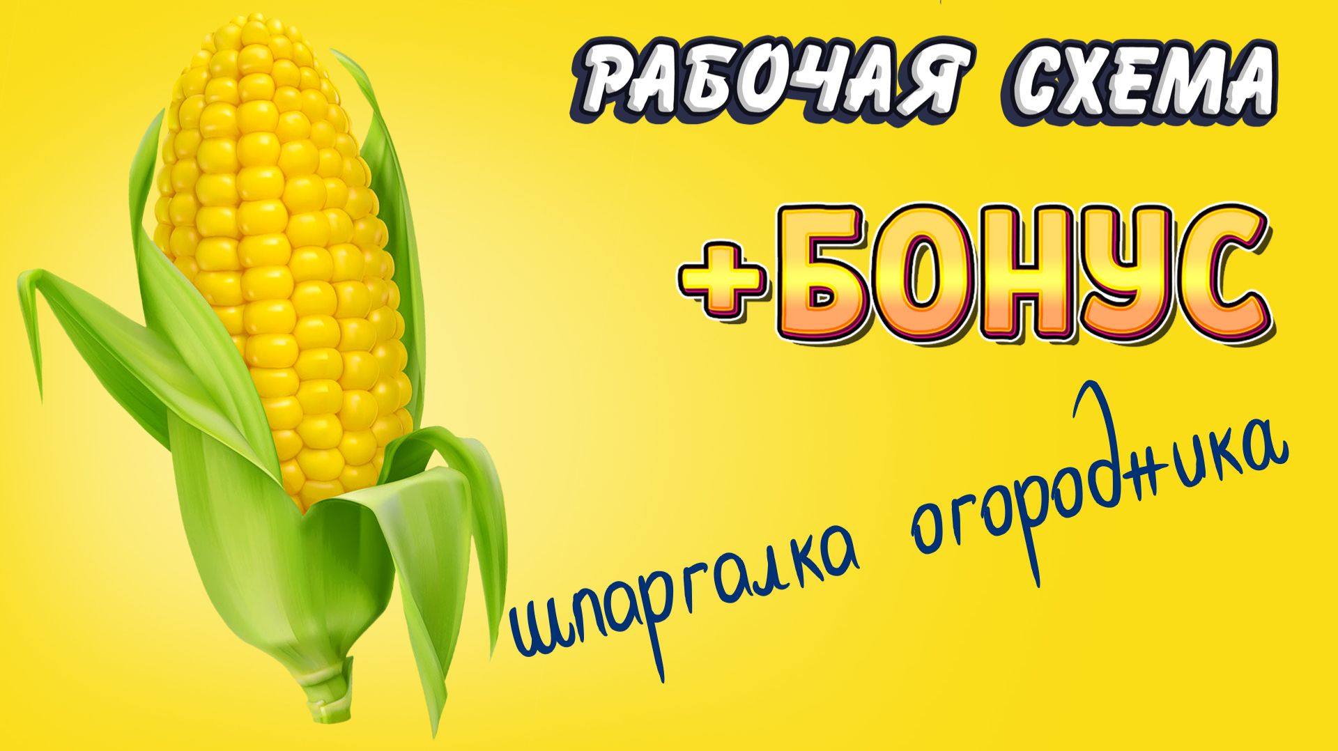 КУКУРУЗА. Полный цикл: от посева до сбора урожая и способа хранения. Все тонкости и секреты