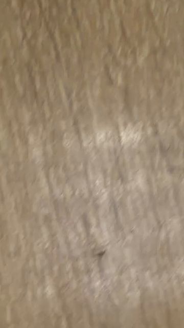 -1846461450957585696