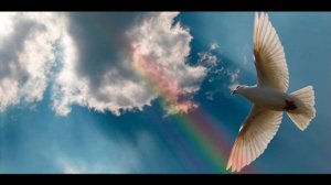 Памяти брата посвящается.