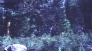 МОЯ ПРЕКРАСНАЯ РОДИНА