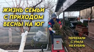 1113 Жизнь семьи на юге России/Подкормили все растения Биогумусом/Переехали жить на юг