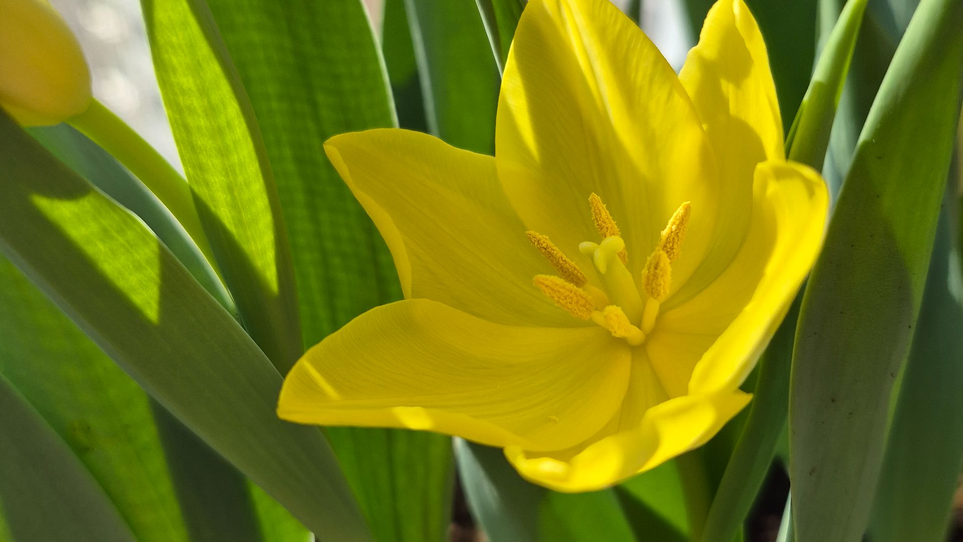 Маленькие радости уютной недели