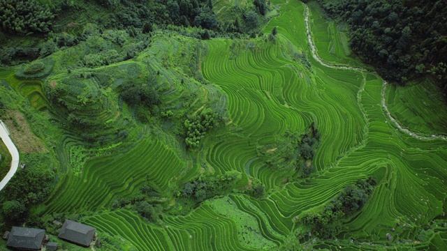 comp_C002_C005_0818SC_001_v01_6M_HB_tag0