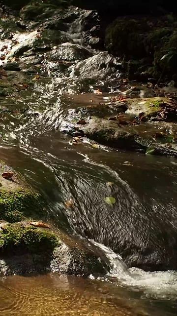 шум воды  горный ручей #shorts