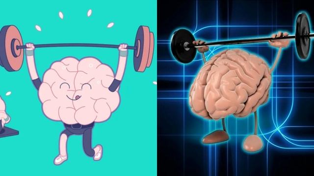 Как движение человека влияет на мозг?