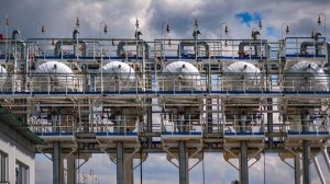 Россия и Шри-Ланка обсудили сотрудничество в сфере энергетики