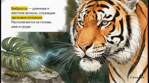 Биология 8 класс параграф 48 Поведение млекопитающих