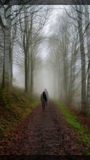 Silent Hill Walk #13