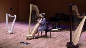 Волшебный смычек Арфа 1 тур