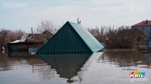 Паводки: что делать, чтобы остаться в безопасности? Жить здорово! Фрагмент выпуска от 27.03.2026