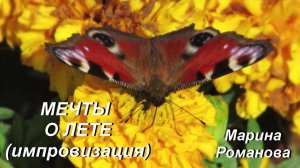 © Марина Романова "МЕЧТЫ О ЛЕТЕ" (импровизация, 2011 год)