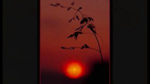 Вероника Тушнова Я прощаюсь с тобою...муз. и исп. Самуил Фрумович #СамуилФрумович