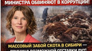 МИНИСТРА ОБВИНЯЮТ В КОРРУПЦИИ! Массовый забой скота в Сибири — причина возможной отставки Лут!