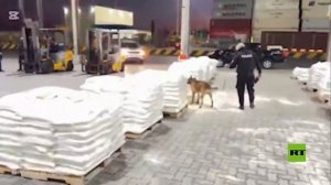 شرطة الإكوادور تضبط 1.4 طن من الكوكايين مخبأة في شحنة "خضراوات" متجهة إلى مصر