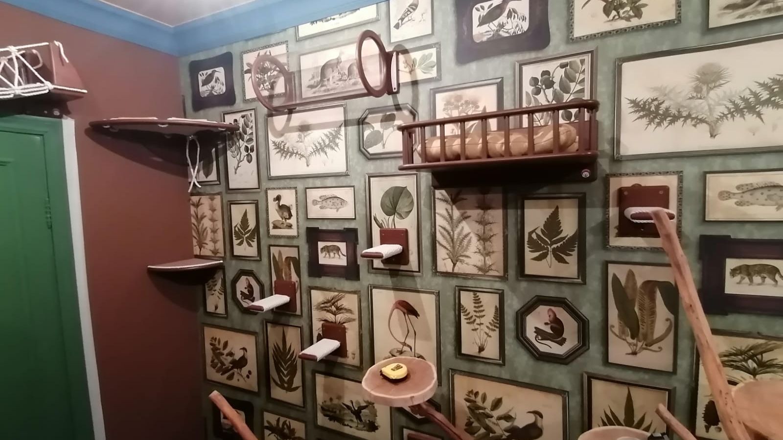 Мы Бобры-лучшая мебель для кошек https://mybobr.ru