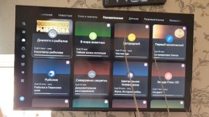 Яндекс ТВ/Телеканалы/V3