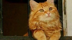 Моня 😎🎻🌟