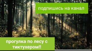 Прогулка по лесу с тиктухером