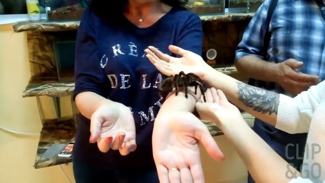 Контактный зоопарк в Омске (любительская съемка)