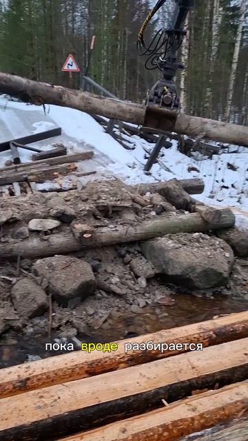 Разборка второй части старого моста,с последующей установкой ряжа!