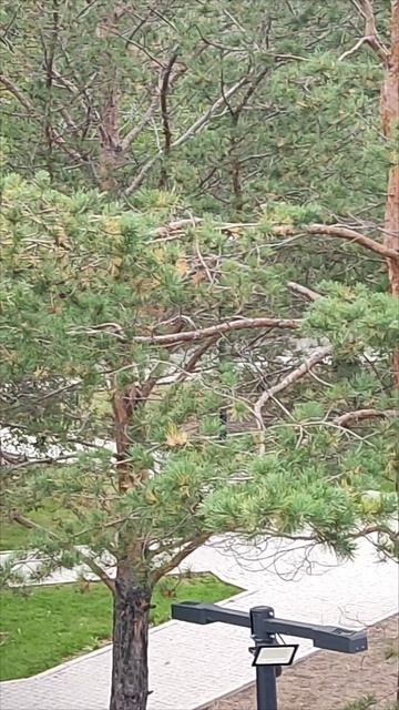 Красноярск.