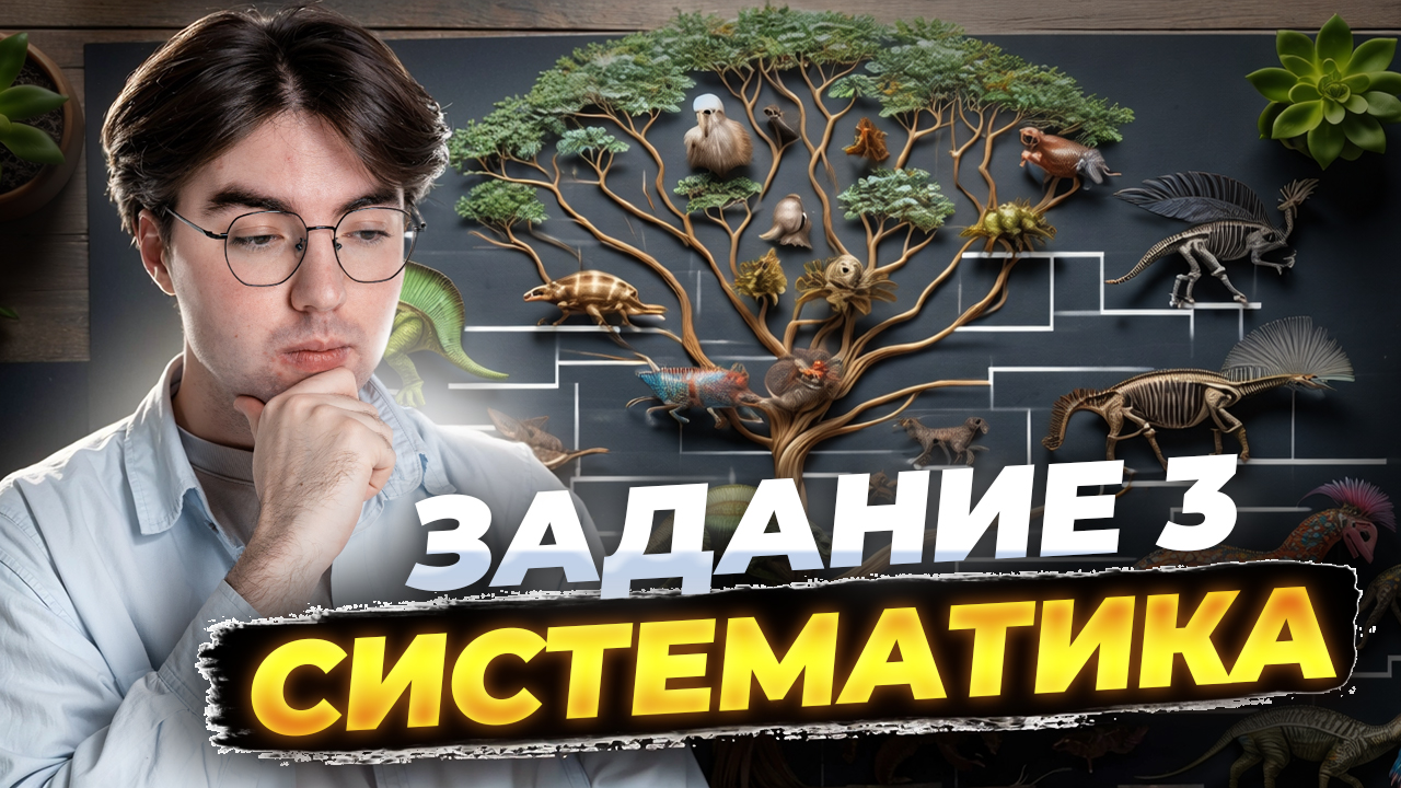 Подробный разбор ЗАДАНИЯ 3 | Систематика растений и животных | Биология ОГЭ | Умскул