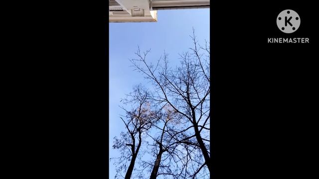 Победа!!!!! смотреть онлайн