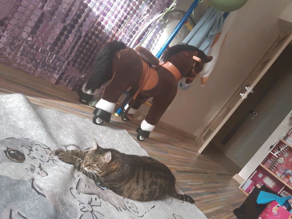 Эфир в школе