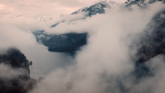 TF  X  HYMER    BE FREE